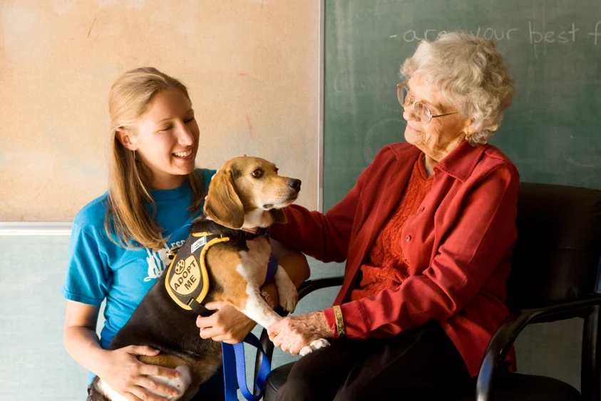 Animal Welfare Photography-17.jpg