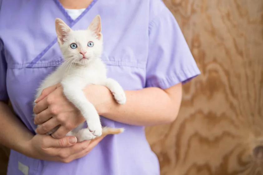 Animal Welfare Photography-25.jpg