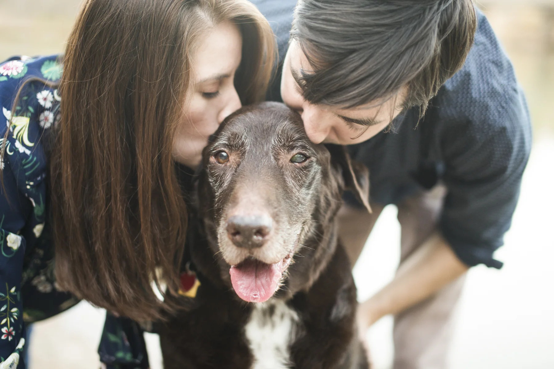 The focus in this image is the dog, no doubt. There is so much love focused right at Moose. This was the family's last photo session with Moose before he passed away from a heart condition. I love this peaceful moment and the sweet look on Moose's face.
