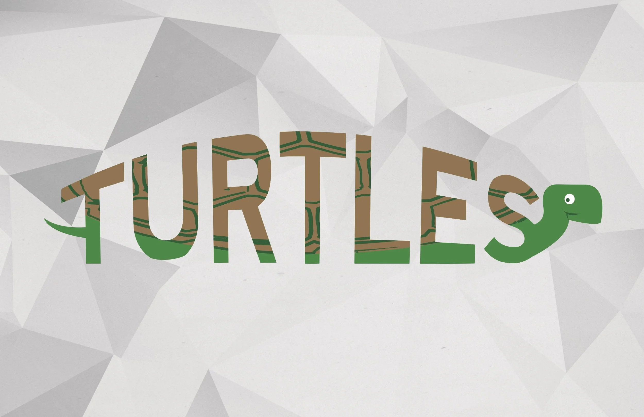 Turtles.jpg