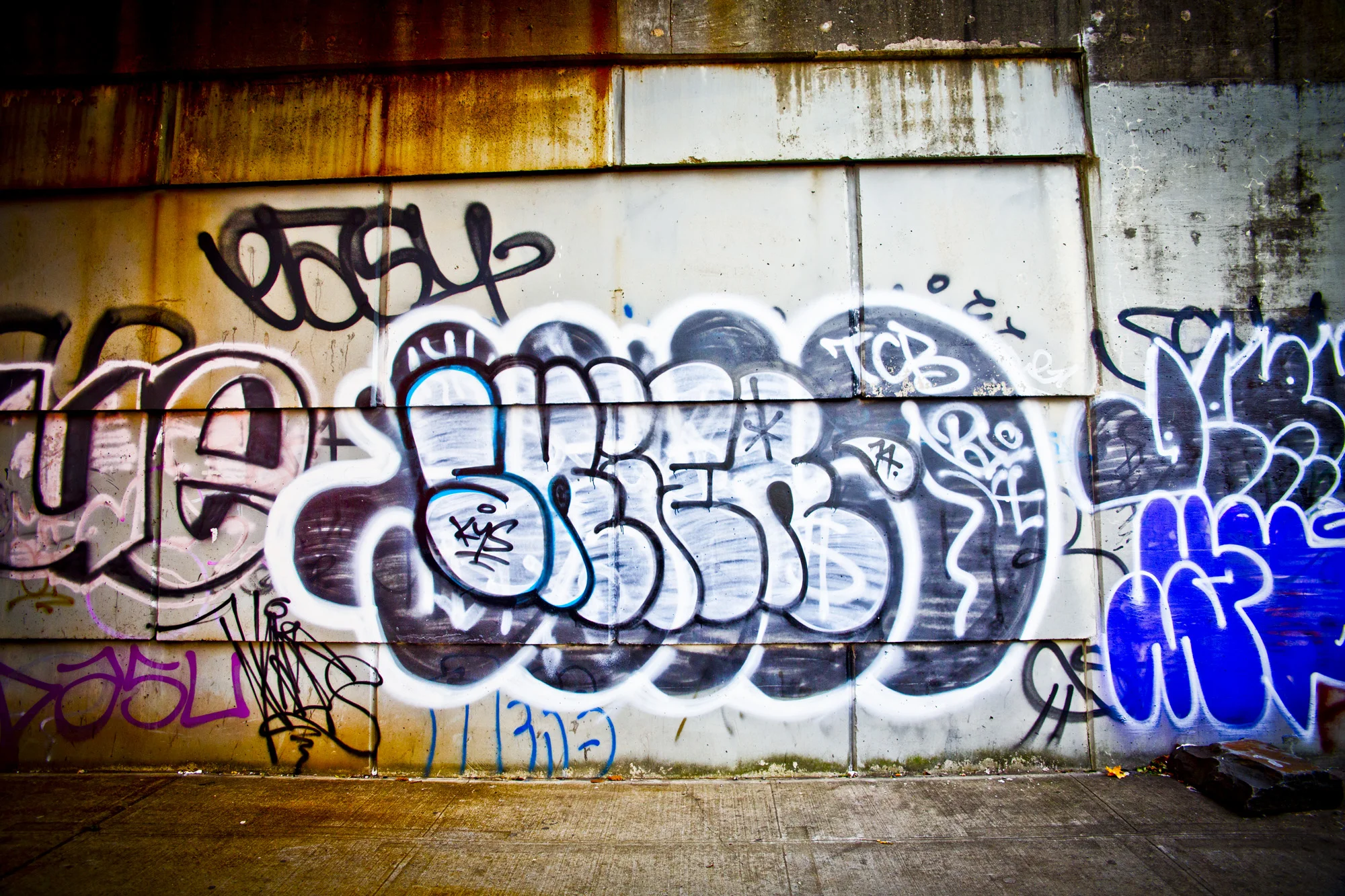 4V4A9597.jpg
