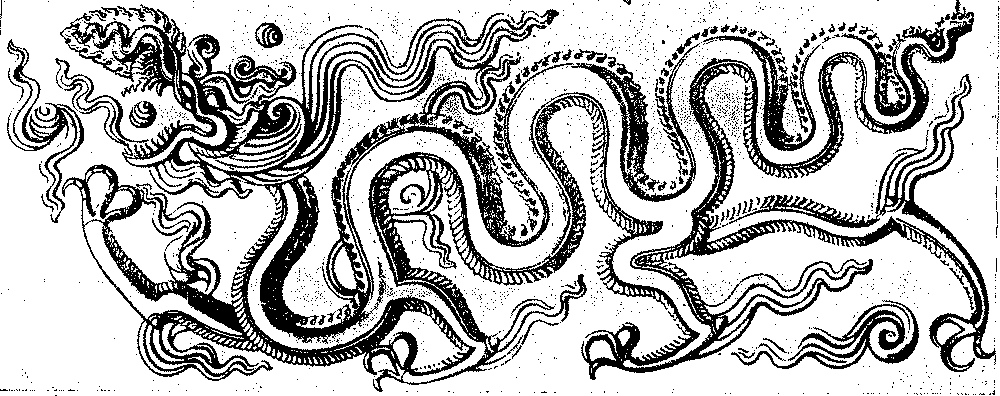 Vietnamese dragon, Ly Dynasty