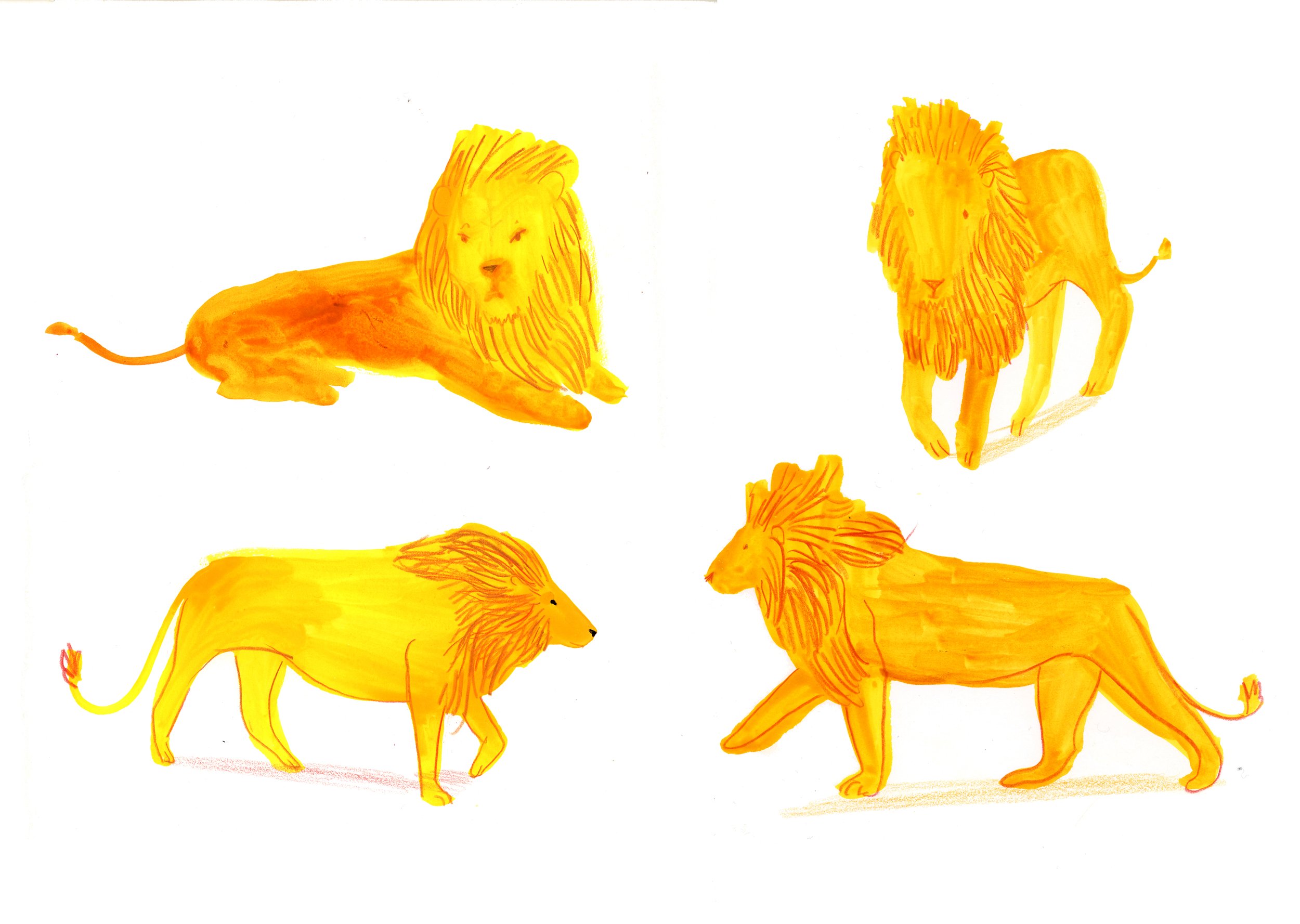 lions copy.jpg