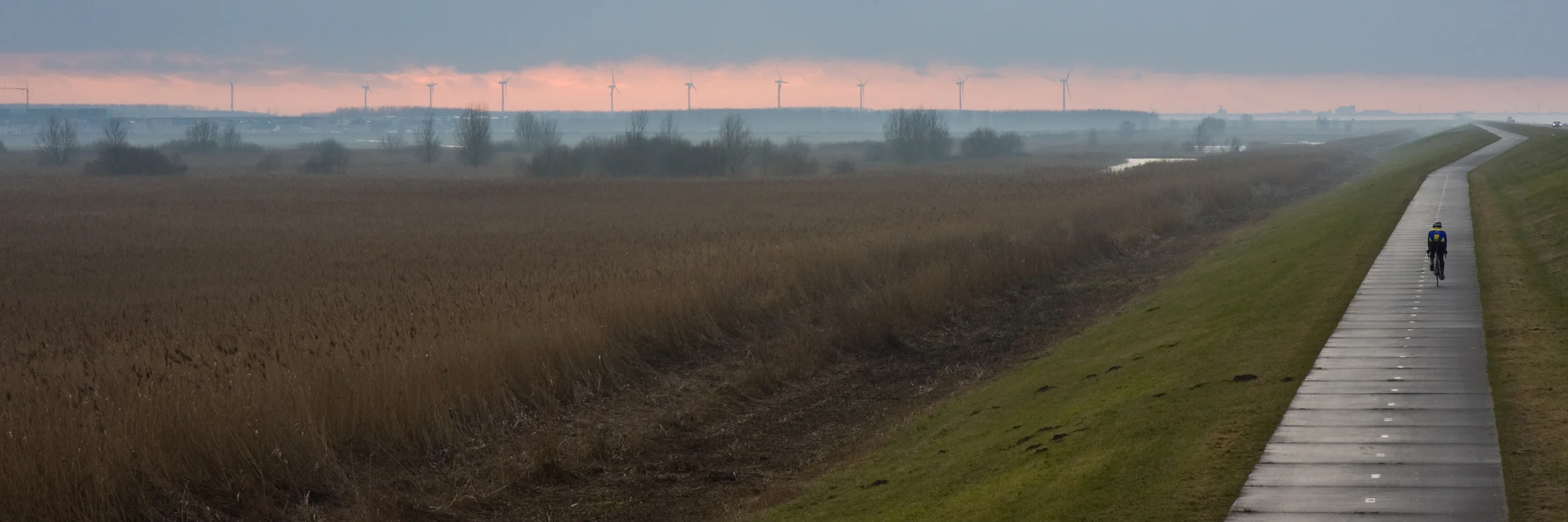 bike path windmills landscape.jpg