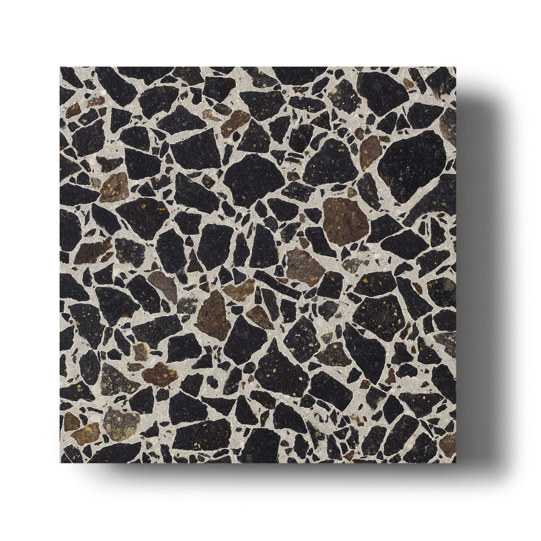 Sample of Fibonacci Wolf terrazzo tile