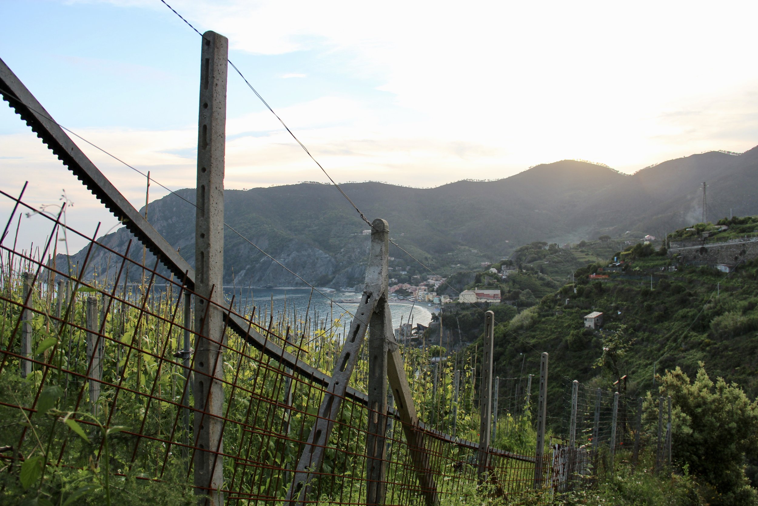  Descending down toward Monterosso.  