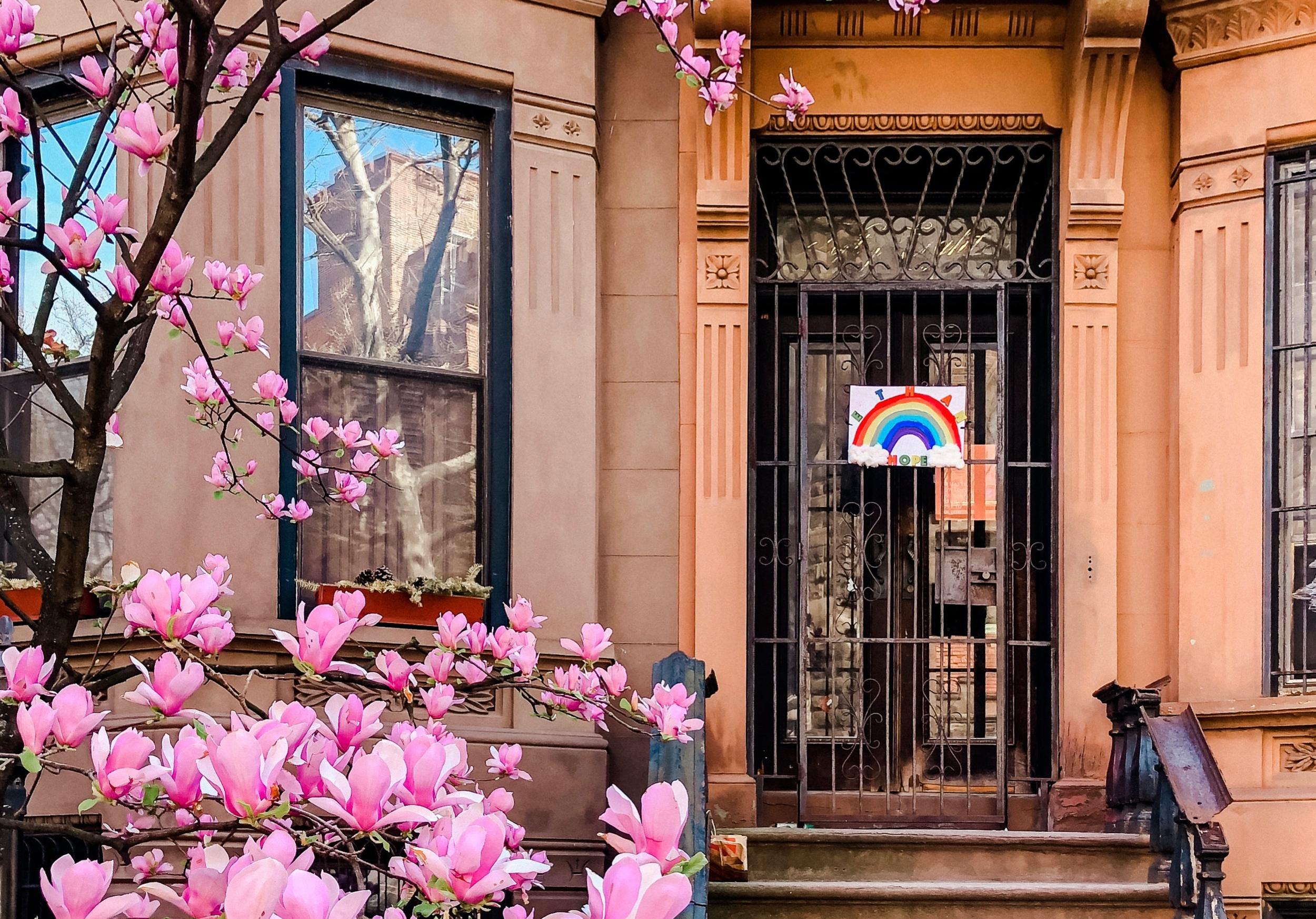 Brooklyn During a Pandemic