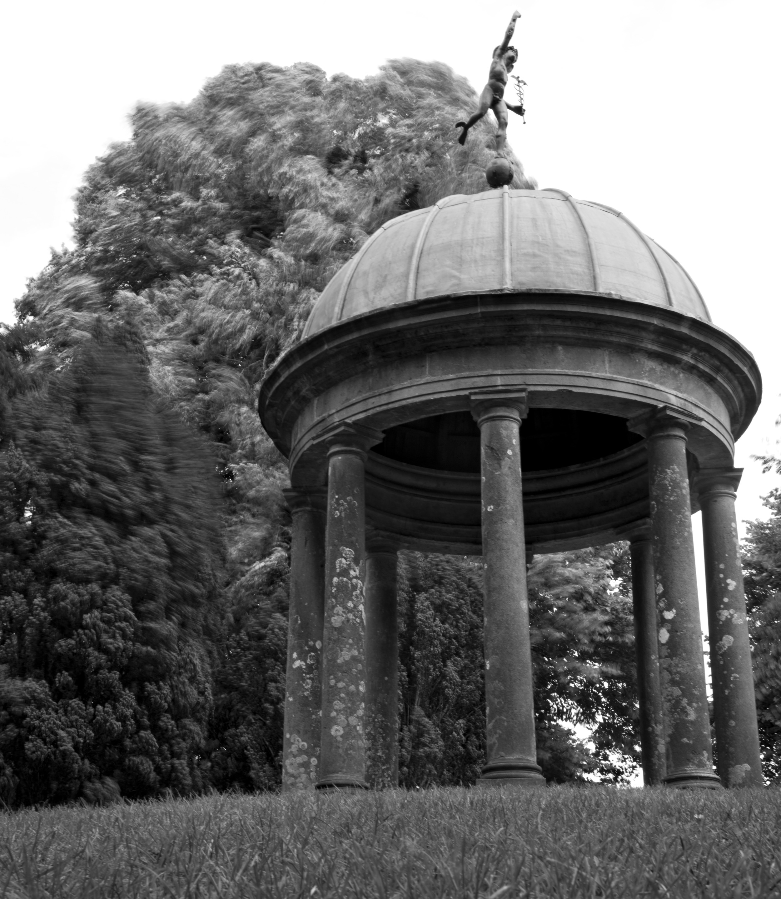 long-exposure-of-trees-and-gazebo_3759636180_o.jpg