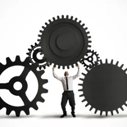 Project Management