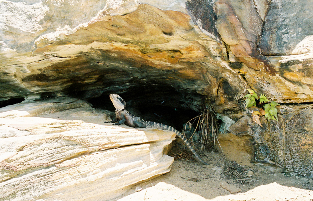 return-to-kodak-portra-film-9.jpg