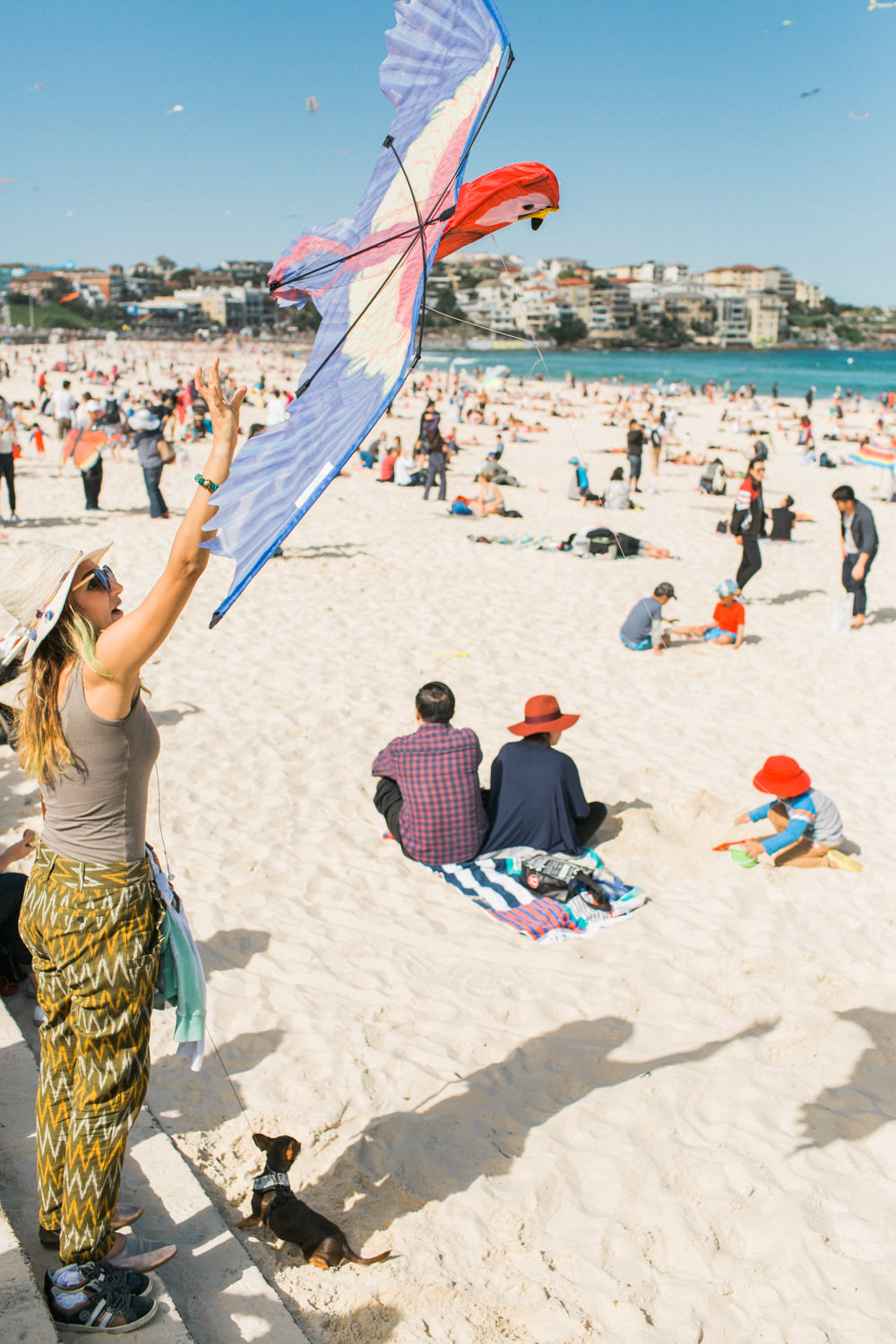 festival-of-the-winds-bondi-beach-sydney-15.jpg