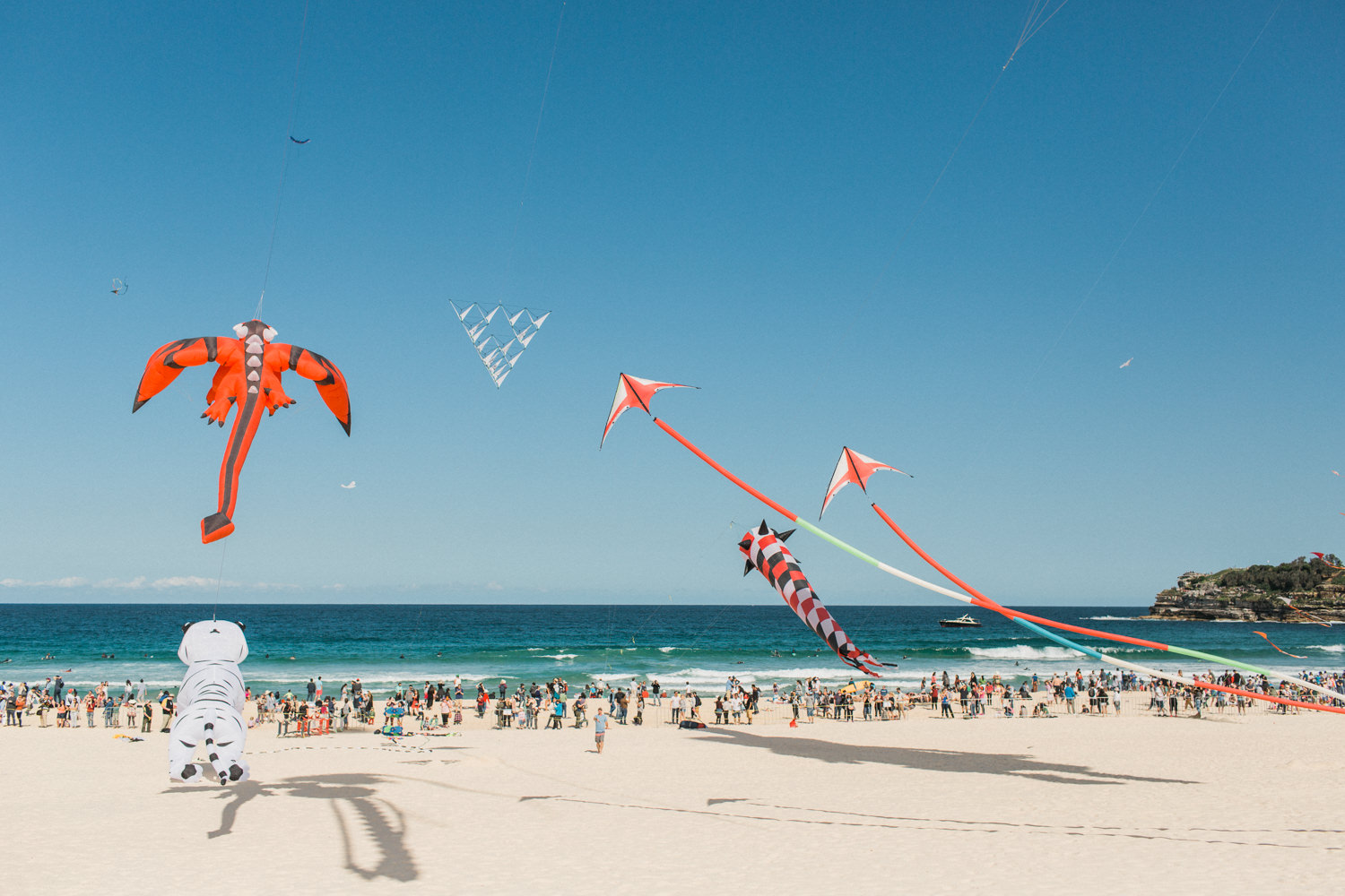 festival-of-the-winds-bondi-beach-sydney-20.jpg