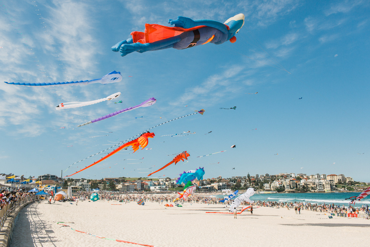 festival-of-the-winds-bondi-beach-sydney-22.jpg