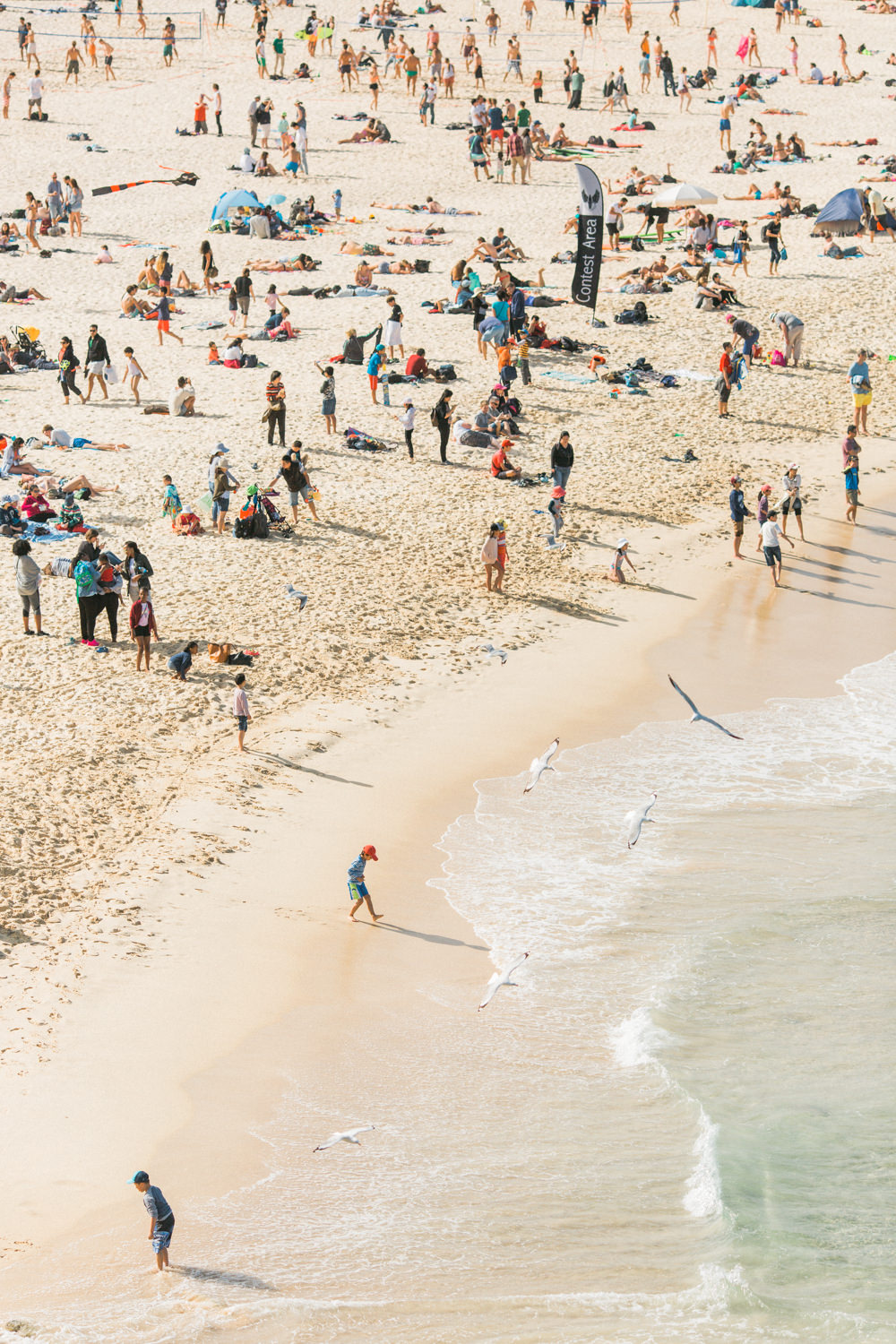 festival-of-the-winds-bondi-beach-sydney-34.jpg