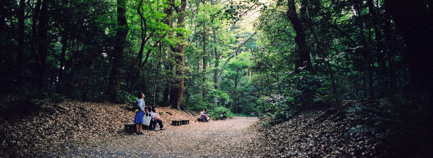 hasselblad-xpan-japan-jason-de-plater-19.jpg