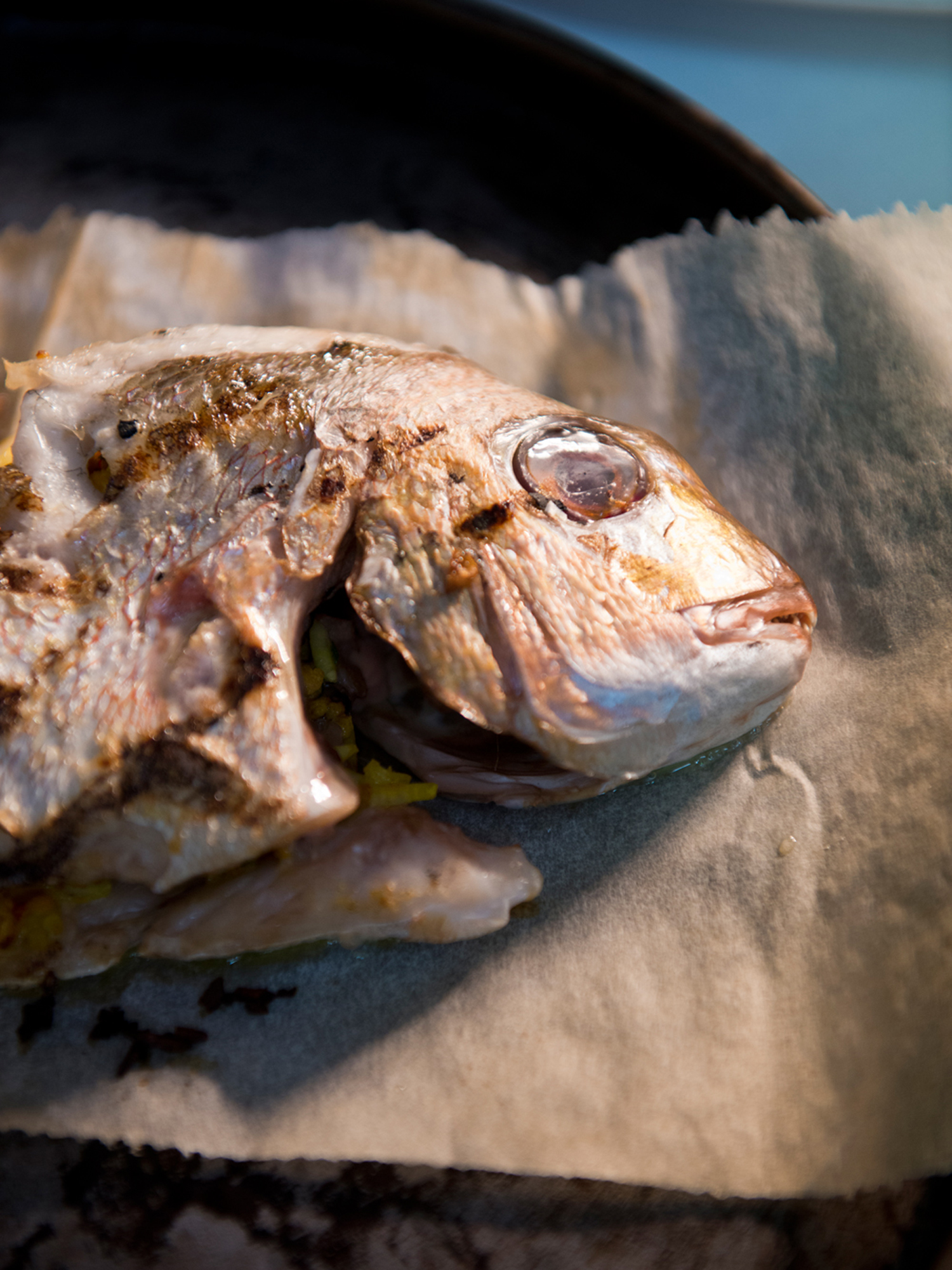 Food_006.jpg