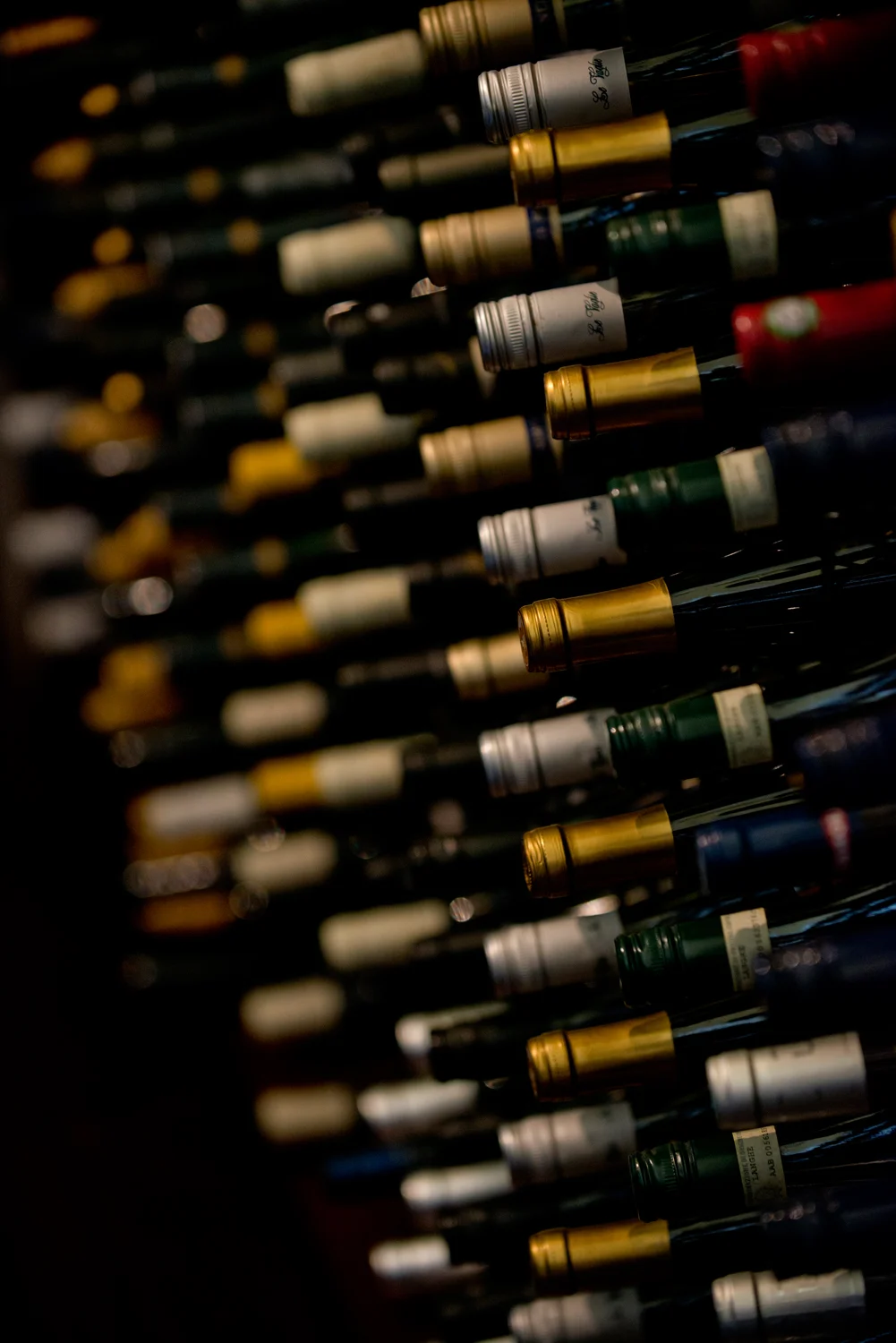 WOV4_Winebank_01.jpg