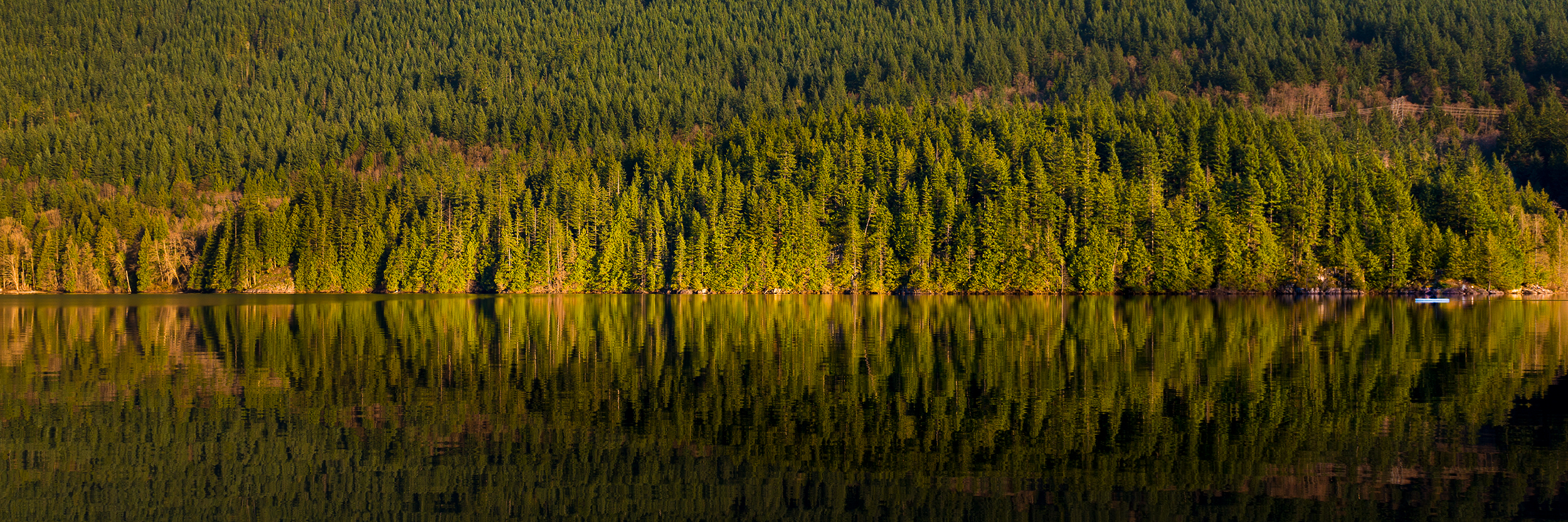 _DSC9497 copy.jpg