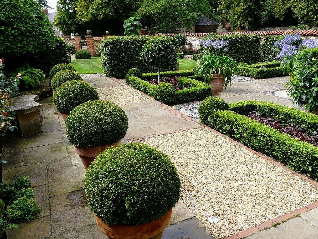 Box hedging in Lincolnshire garden.jpg