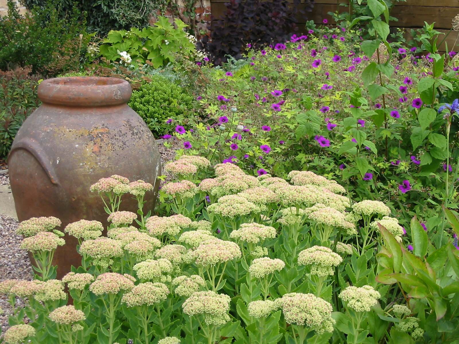 terracotta planter in Lincoln garden.jpg