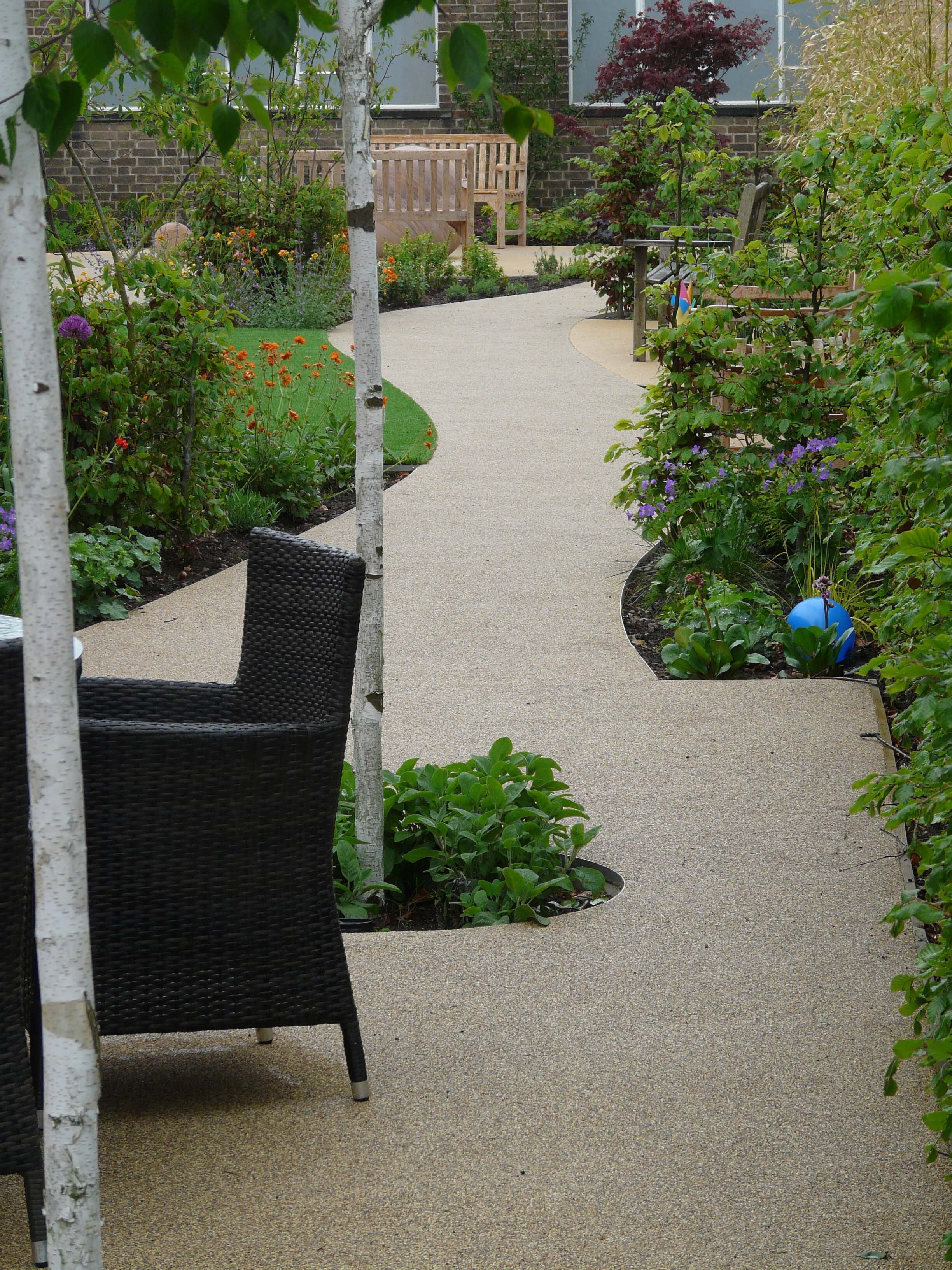 Birch trees in Dementia garden.jpg