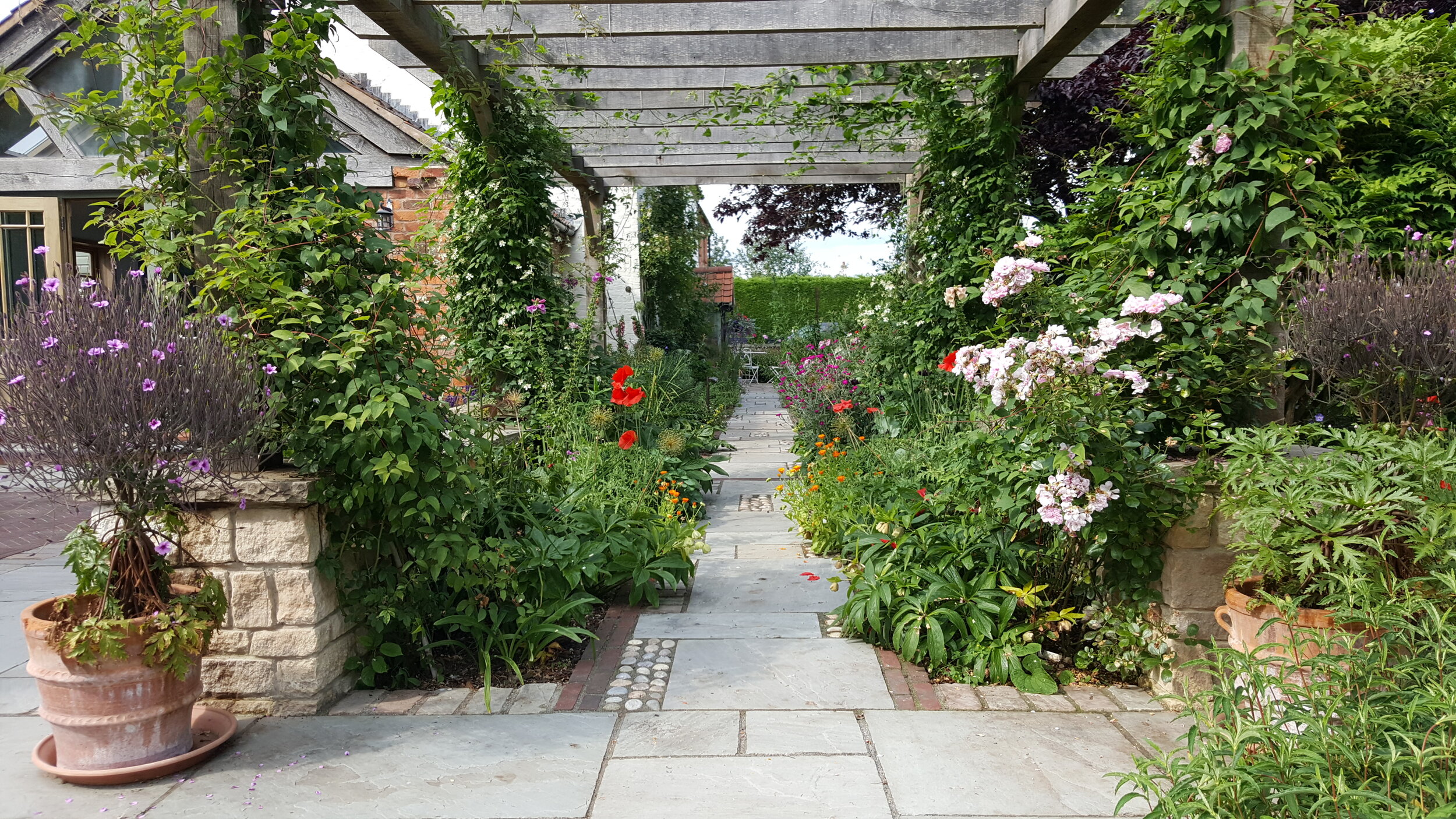 6 Garden design Lincolnshire - plant covered oak pergola.jpg