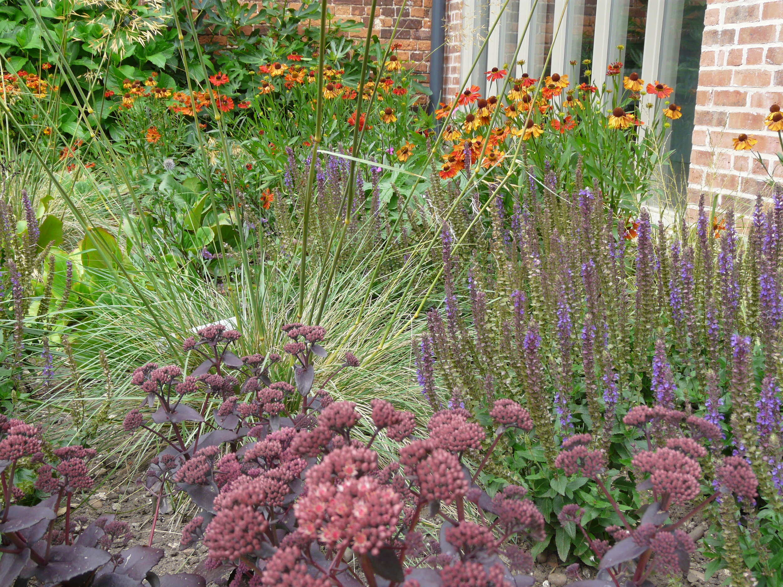 Planting design.JPG