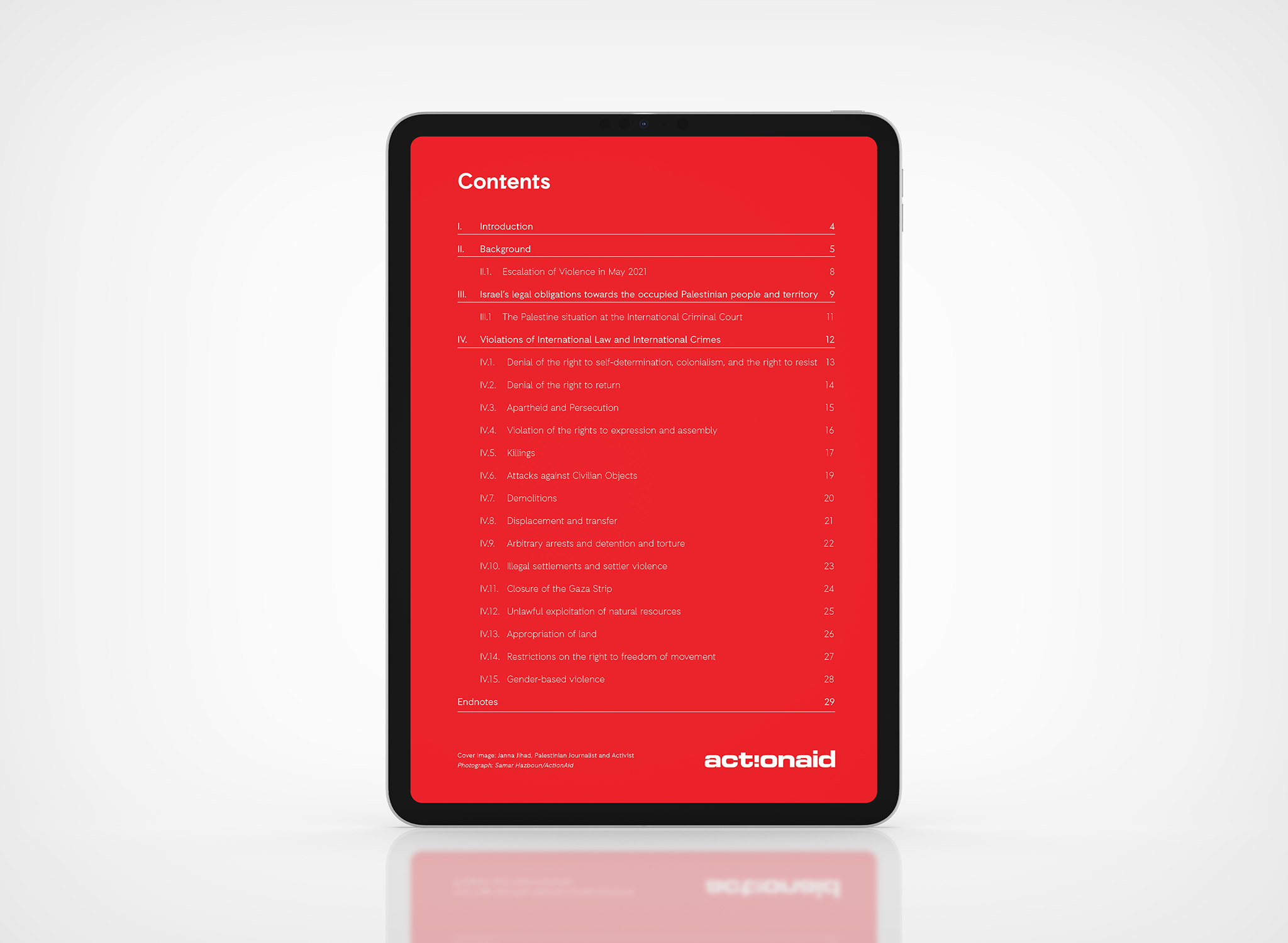 2 Palestine Report Contents.png