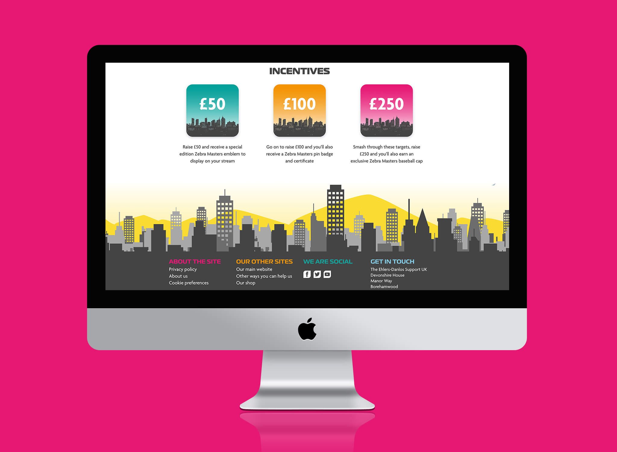 Zebra Master Webpage 3.jpg