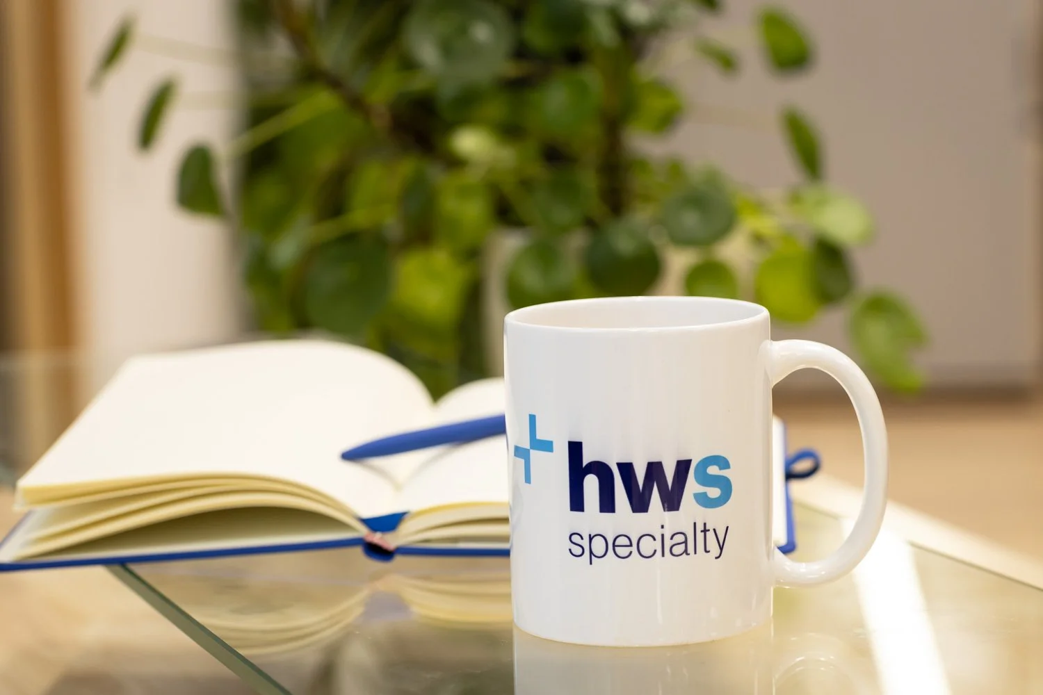 Merch photography examples-6.jpg