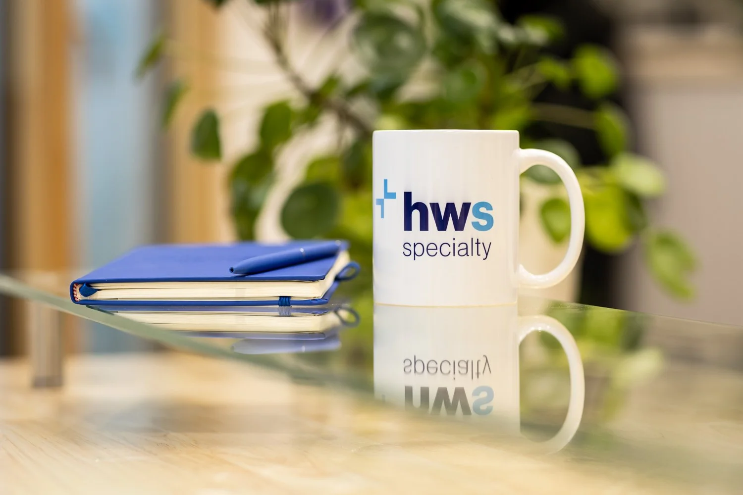 Merch photography examples-7.jpg