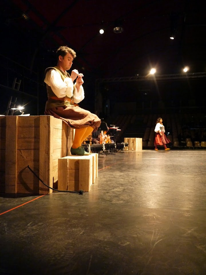 Berger in La Naissance d'Osiris by Rameau, with Les Arts Florissants