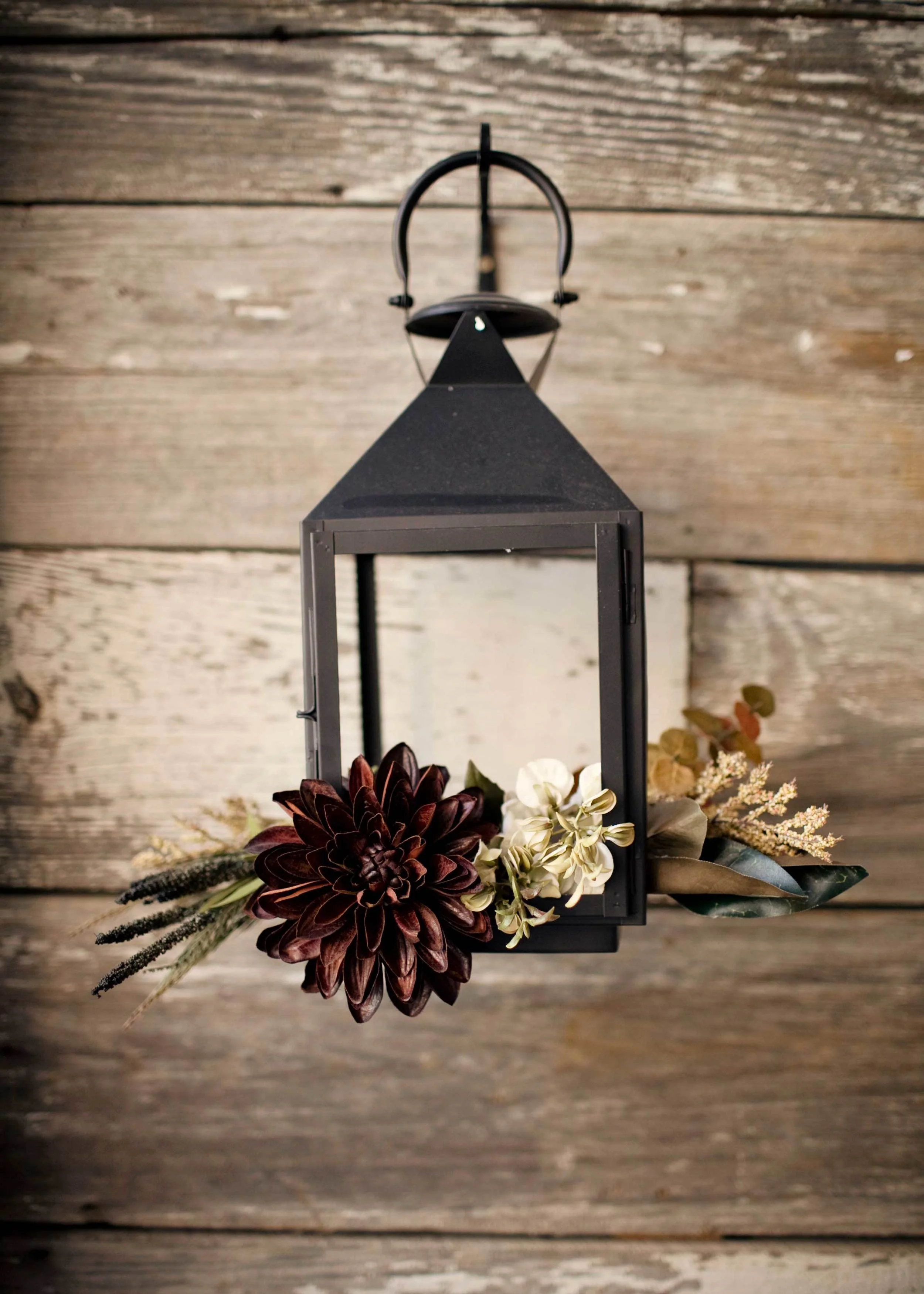 Autumn lantern flowers