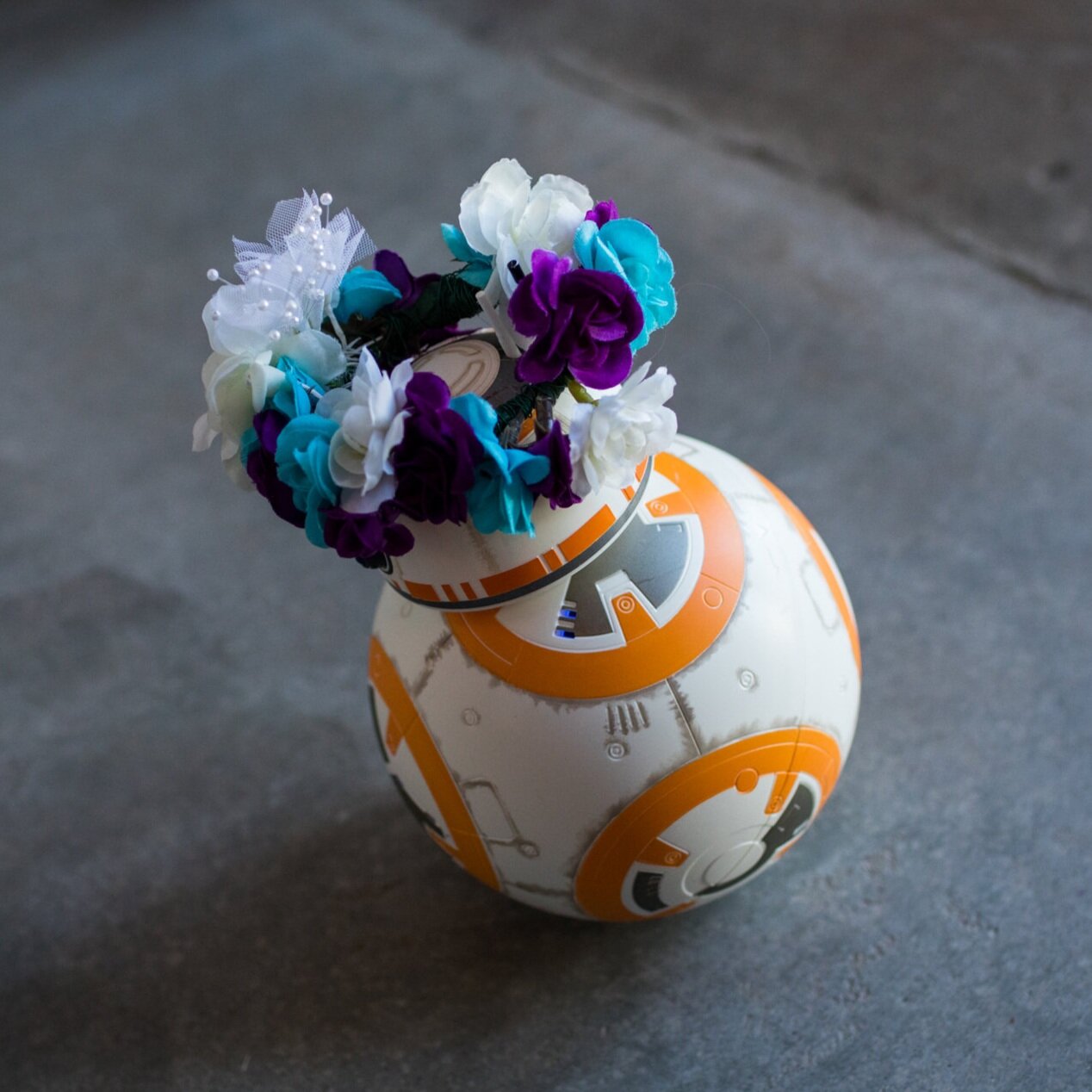 Photography: The Vow Exchange Events