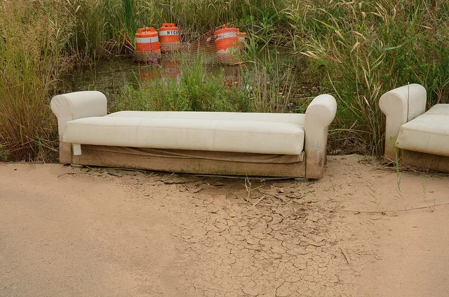 nate dorr couch.jpg