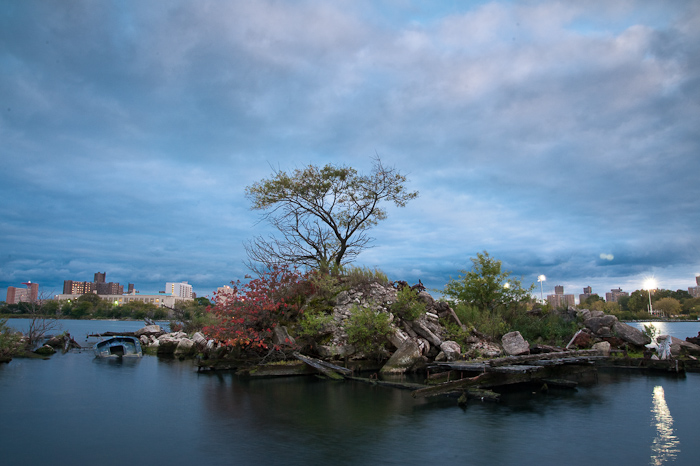 Island Growing from a Submerged Barge
