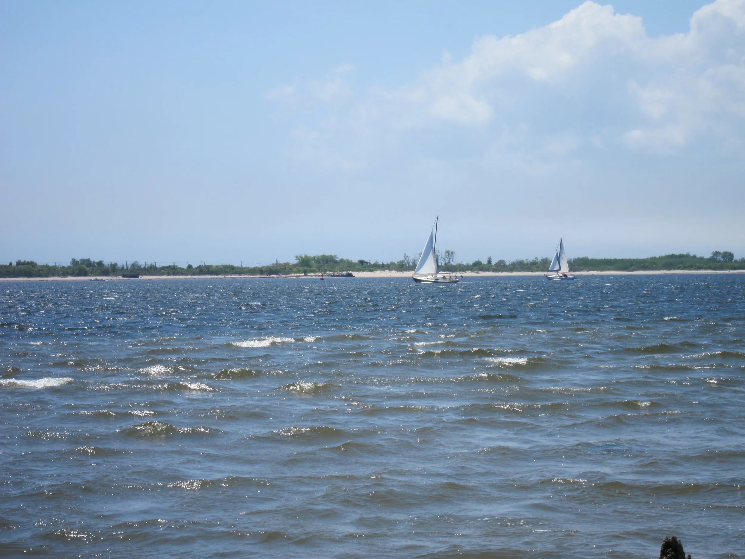 IMG_1902.jpg