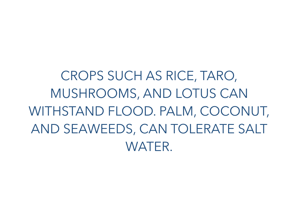Eating water draft.008.jpeg