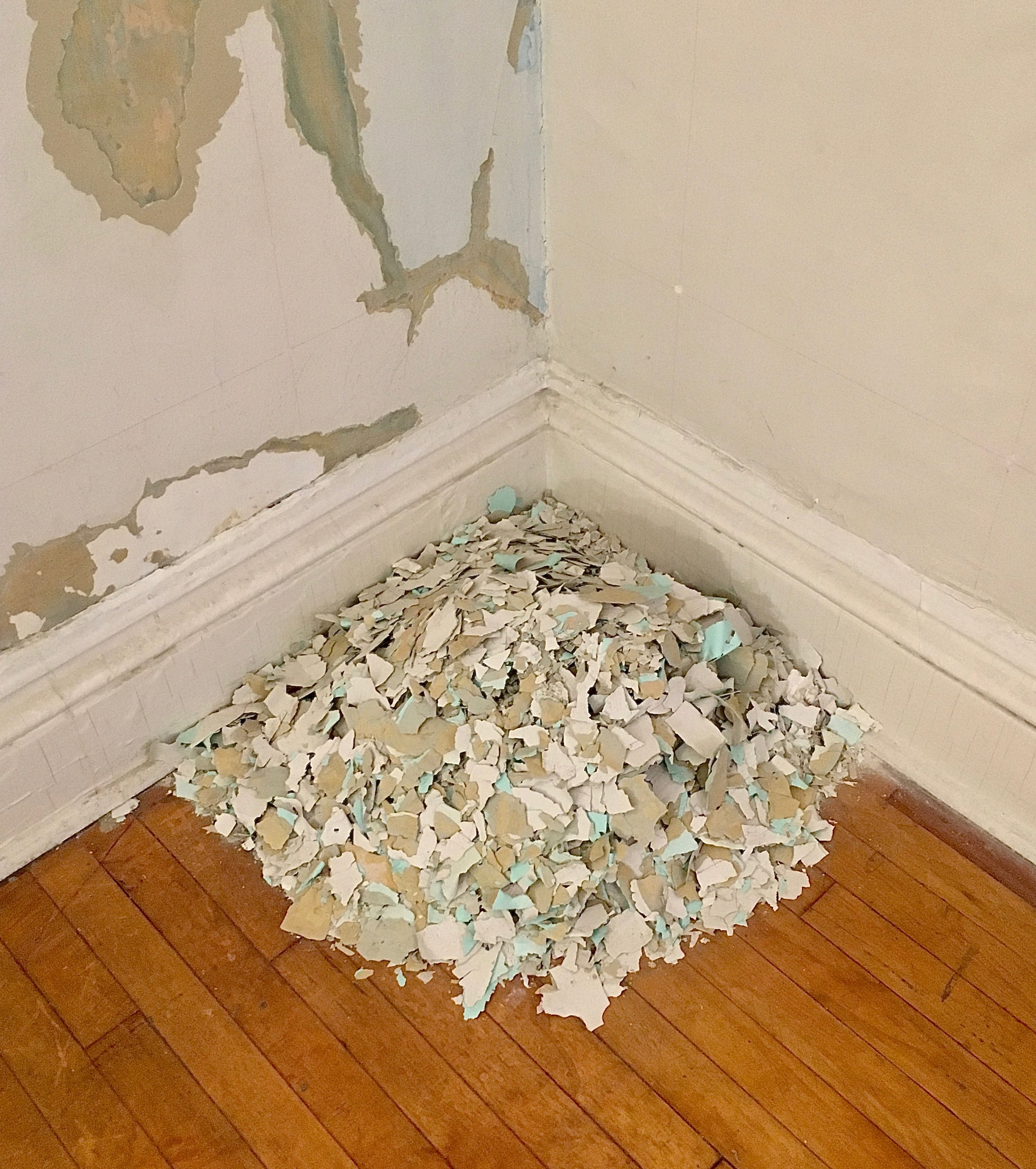 Scraped paint from the walls of my studio. Possibly lead and latex.