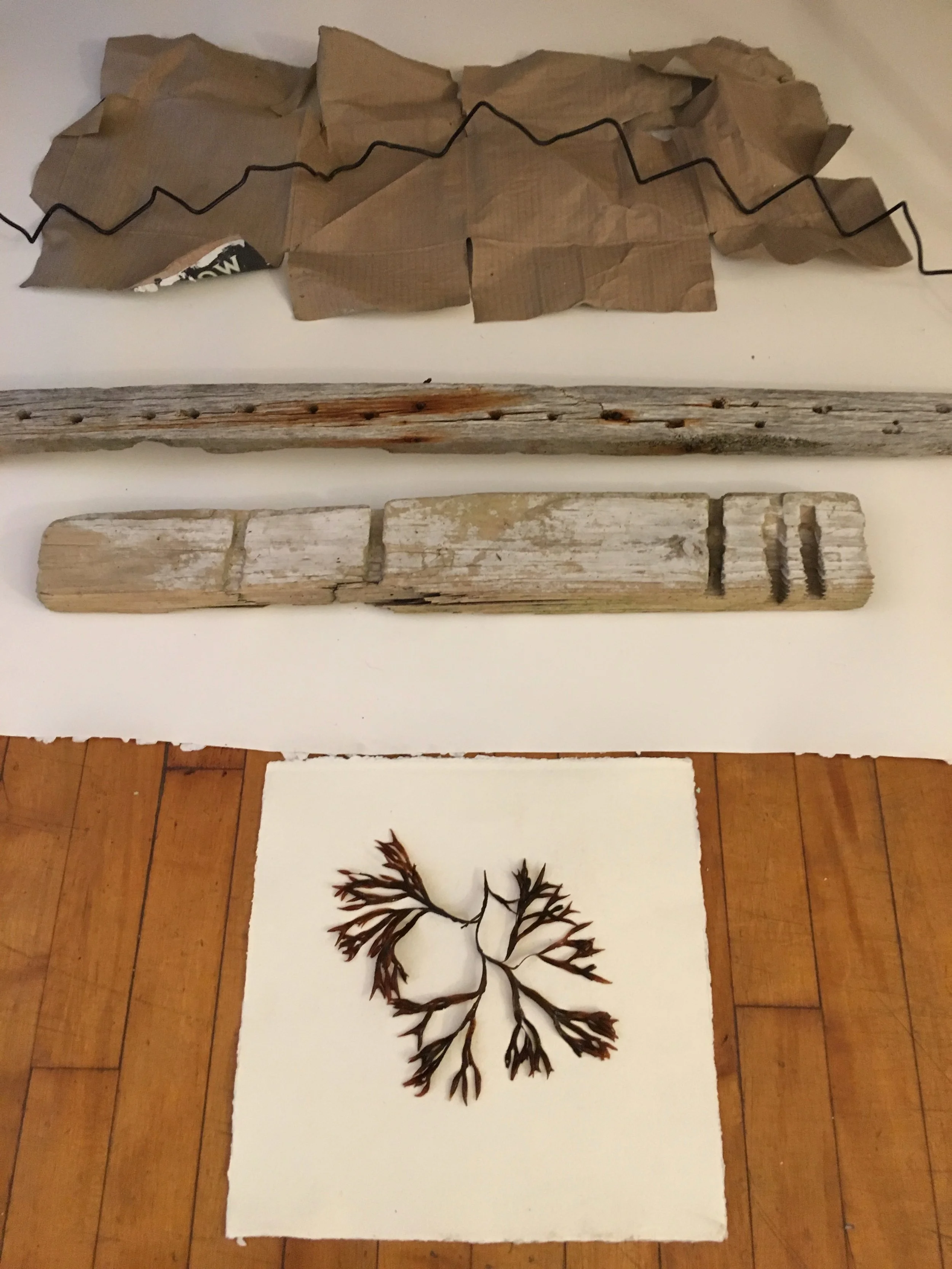 Materials found on the shoreline of Governors Island