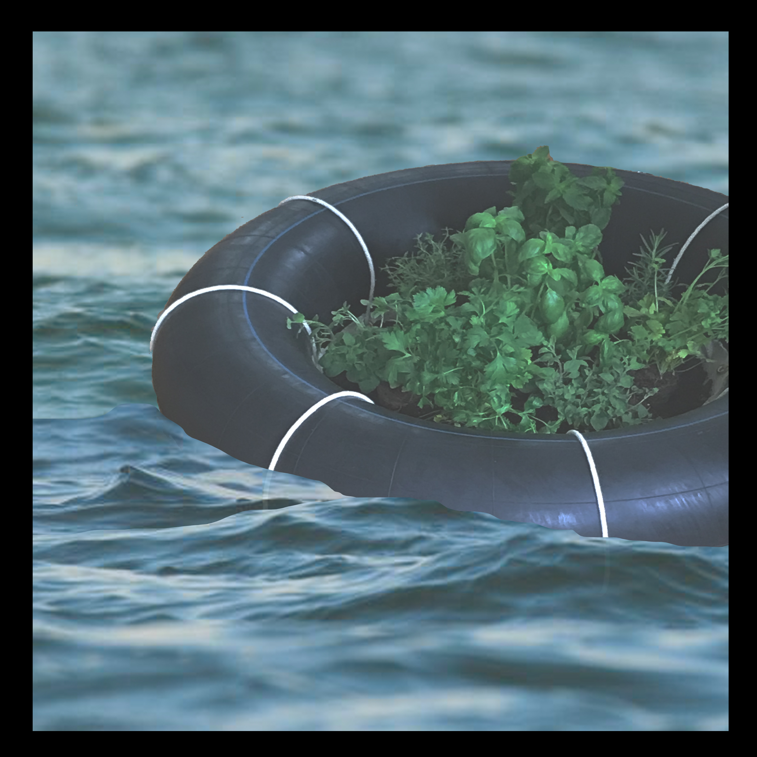 Floating Garden by Lily Consuela Saporta-Tagiuri