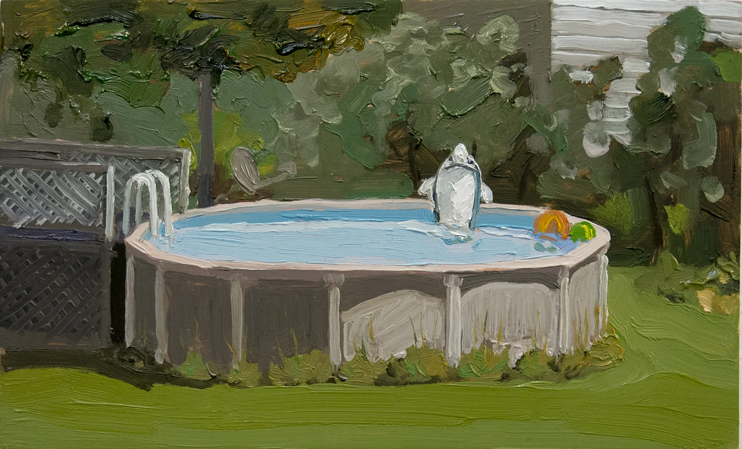 Dolphin in the Pool