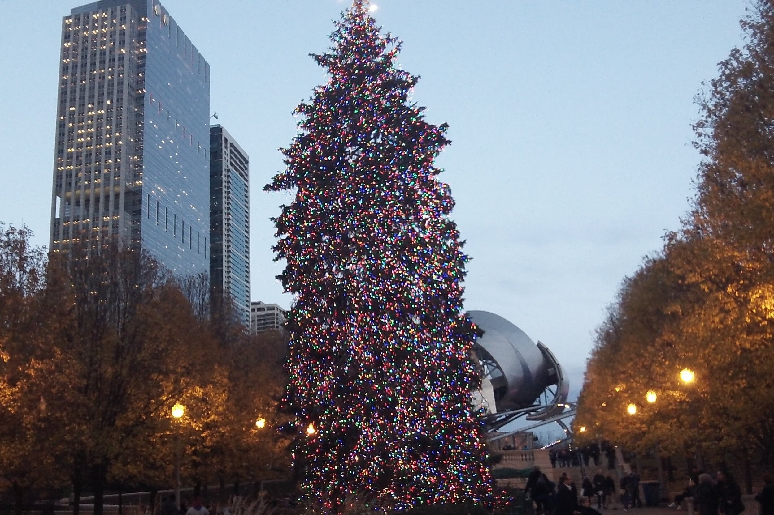 <span style="font-weight:bold"><p style="font-size:20px">Millennium Park Christmas Tree</p></span>Chicago, Illinois