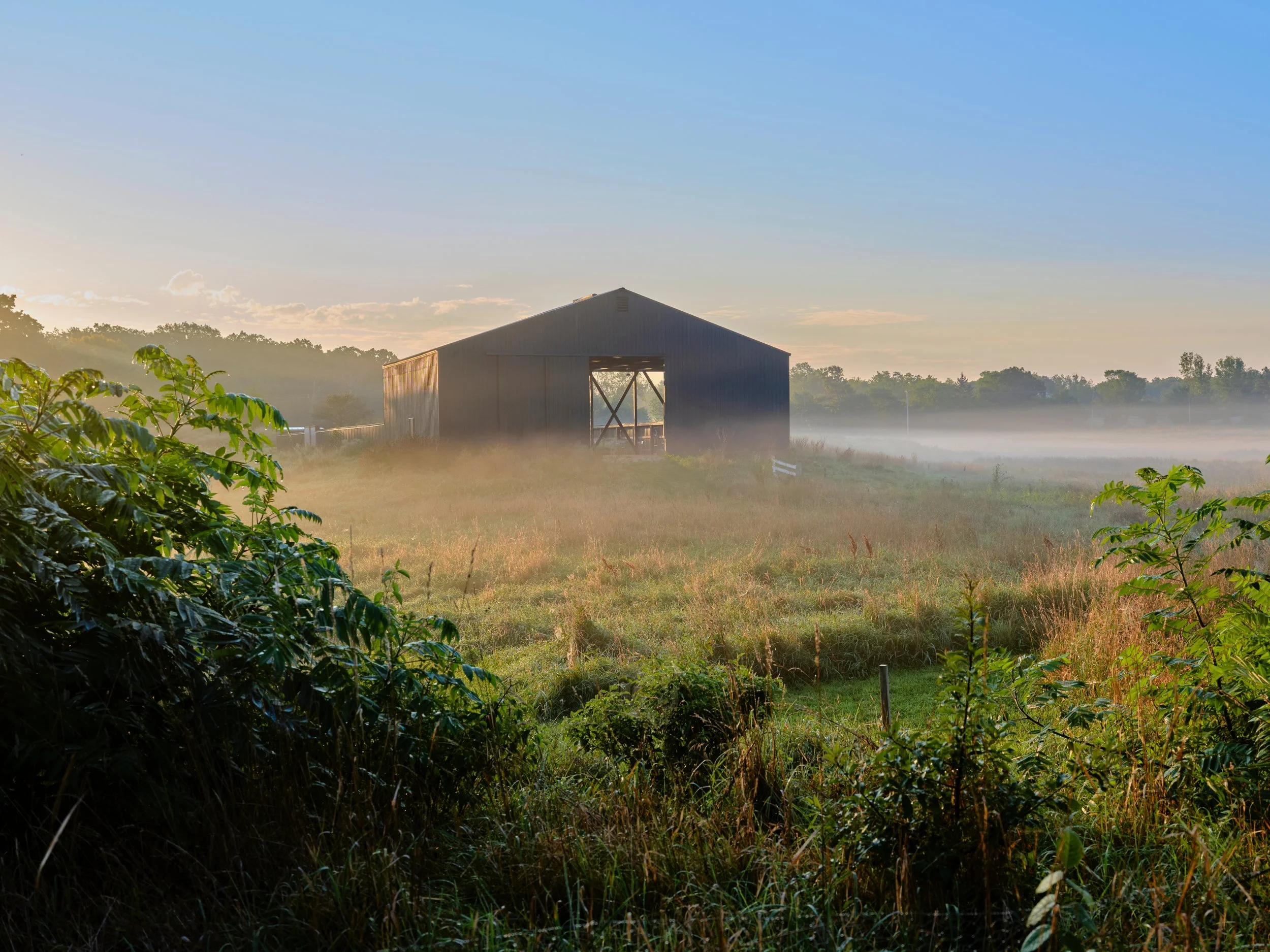 PracticeLandscape 10.jpg