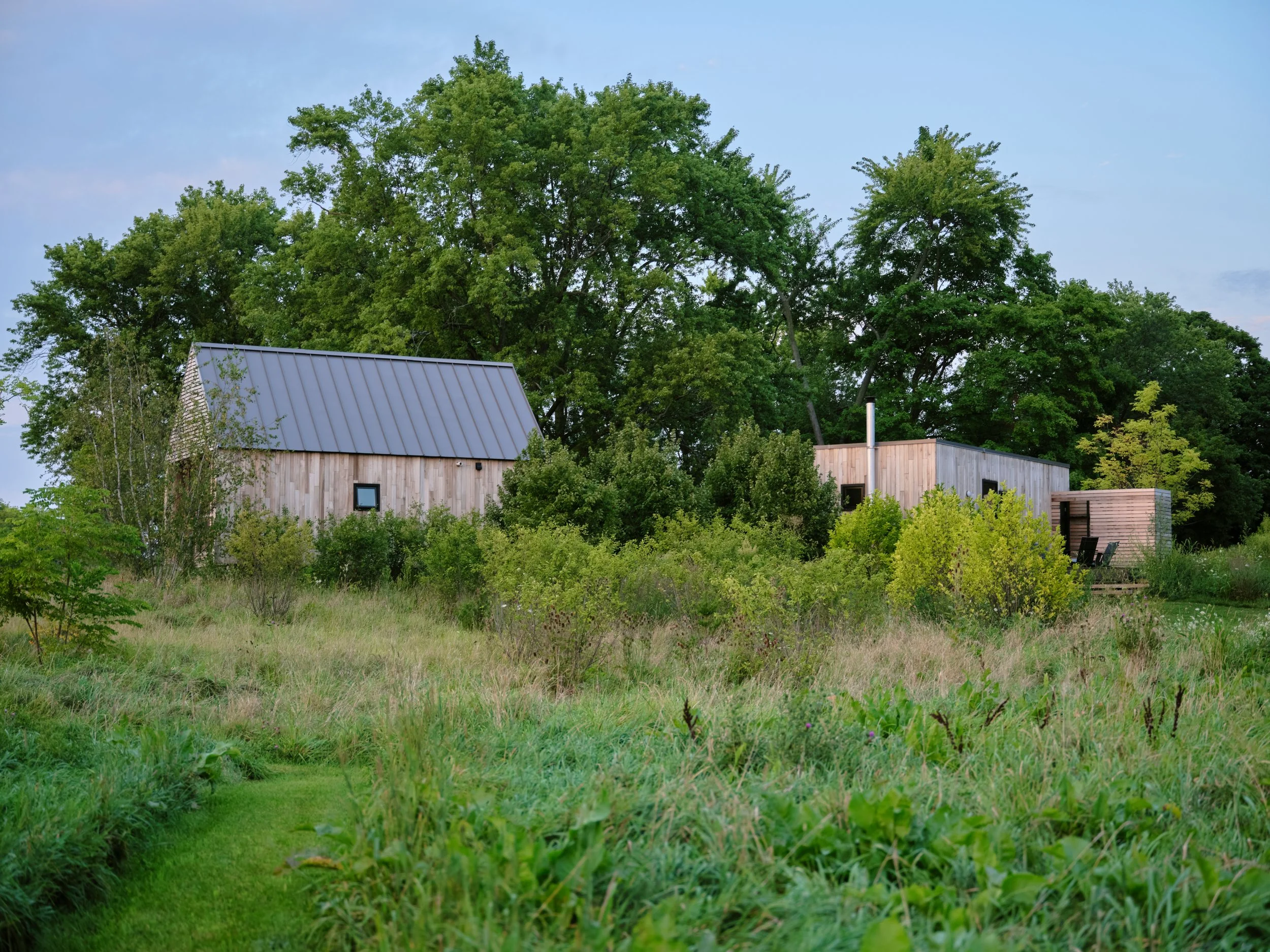 PracticeLandscape 5.jpg