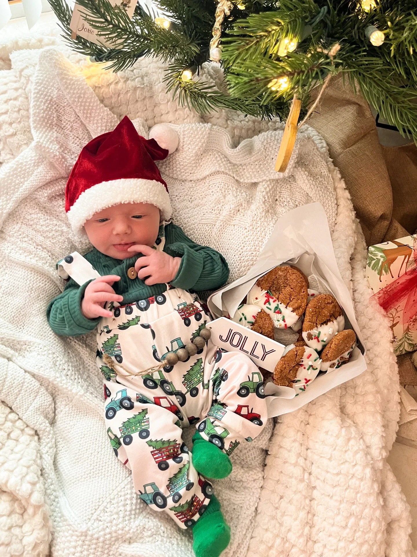 Guess who&rsquo;s here&hellip;and who already loves cookies 🍪💚

Our newest little baker joined us December 14th &amp; we couldn&rsquo;t love him any more 🥹 

Orders are still on pause as we soak in all the newborn snuggles and need time to teach h