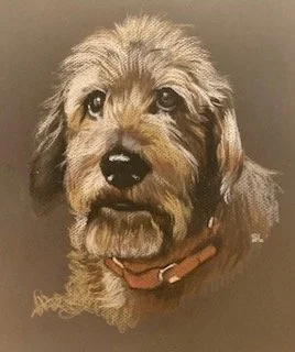 pastel pet drawing 2.jpeg
