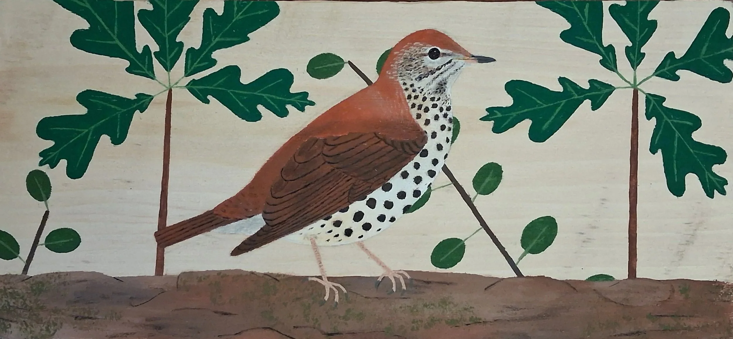 wood+thrush.jpg