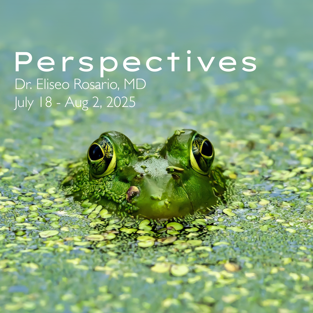 Perspectives: Dr. Rosario MD
