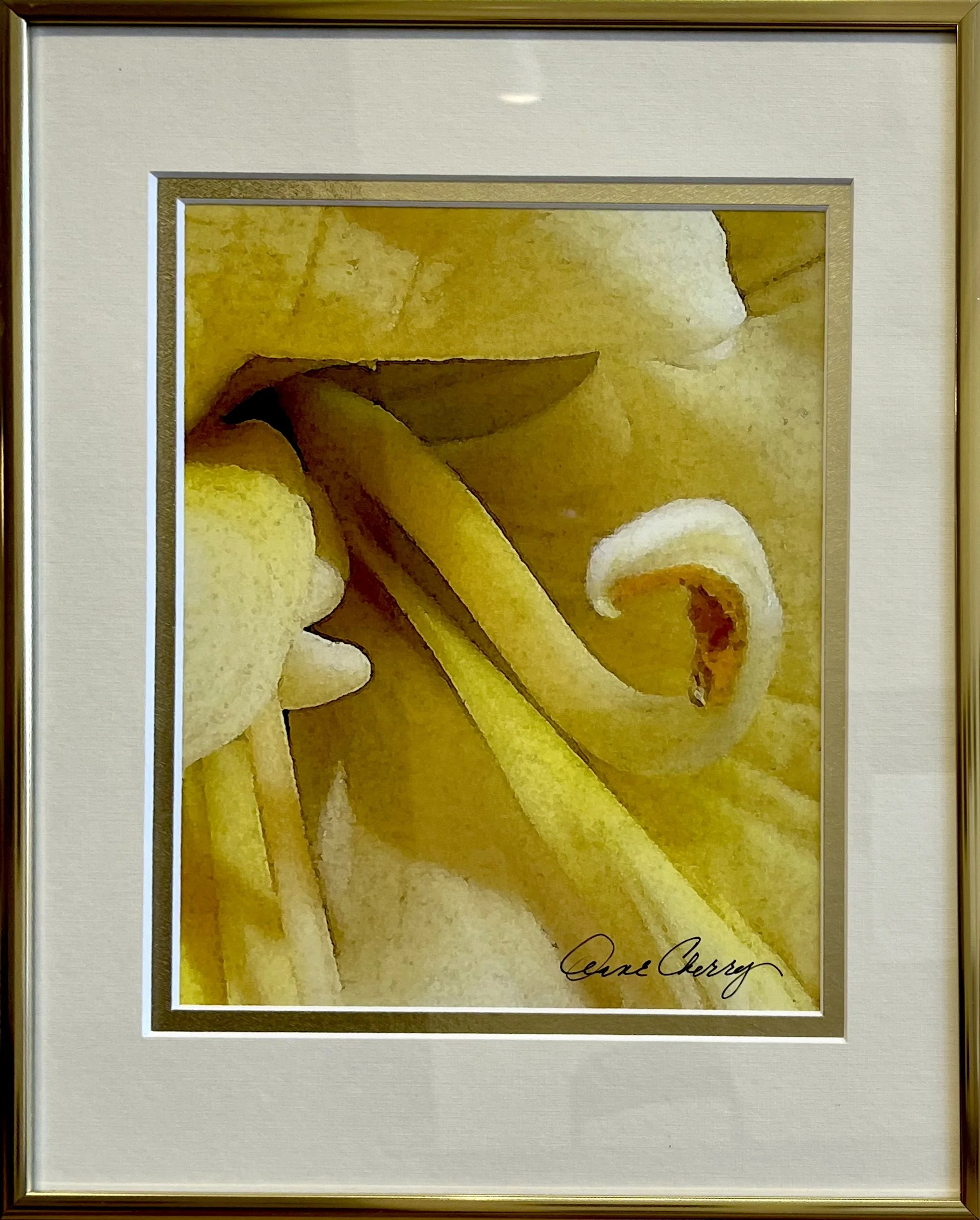 Vanilla Trumpets by Anne Cherry